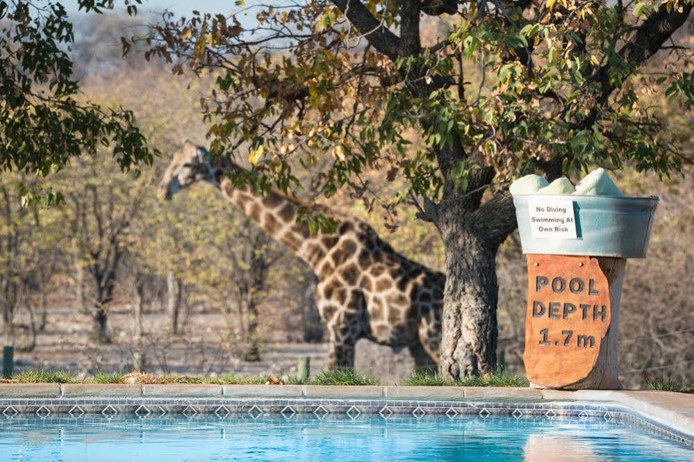 Отель Anderssons Camp Окаукуэджо Экстерьер фото
